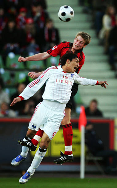 庞大的社会 庞大的社会